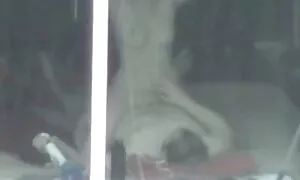 Dua remaja negro lucah untuk dua berbulu fuck