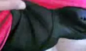 Remaja di pelir sedap dubur